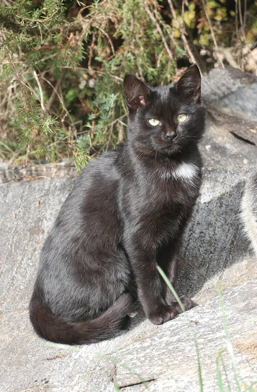 imgonline-com-ua-Resize-zJjBHk3rUc