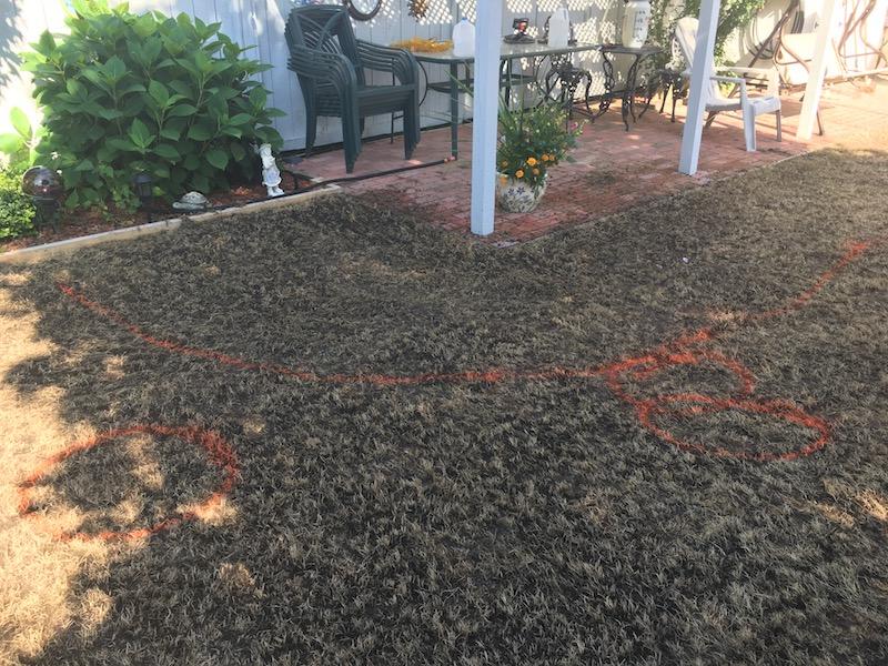 2017_Backyard_Seed_Down_Leveling_3_small