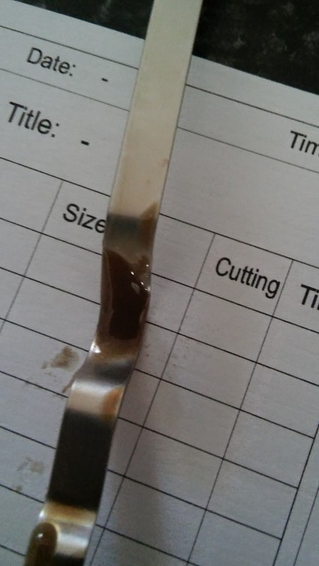 20181117_152050 (Small)