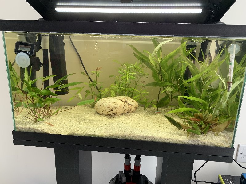 B7717ECB-B46A-4FE1-BD4A-6714A570A680