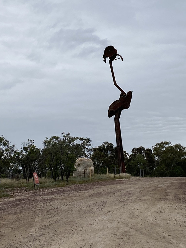 2021 Boys Googs Tk & Off-Track Desert Trip (24)