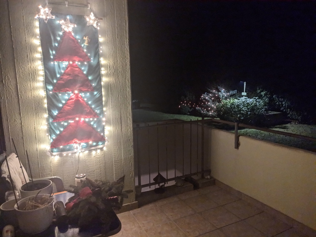 IMG_20211224_235354_tigr