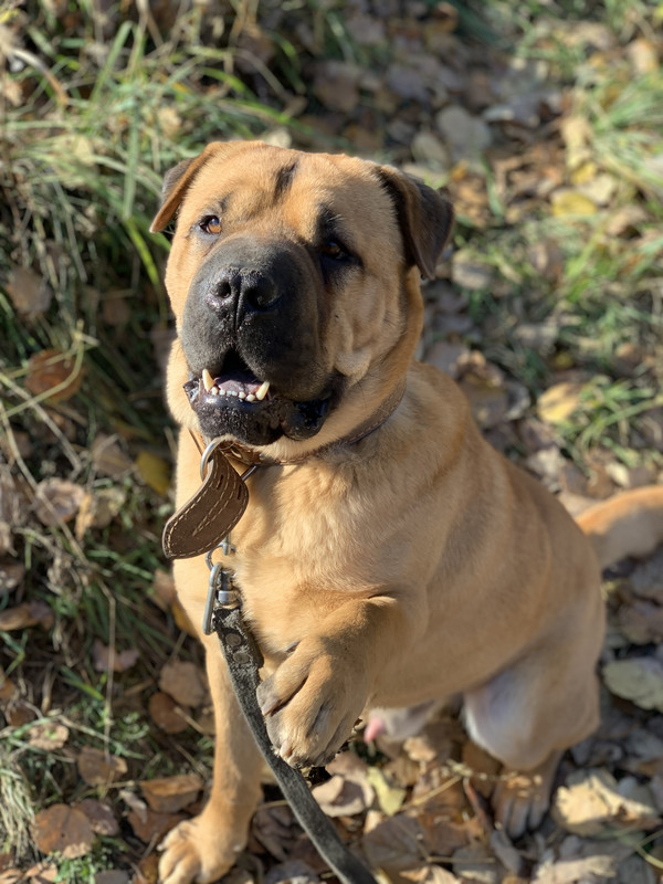 2EBCCEFA-A3AB-466C-9059-43405942FA91