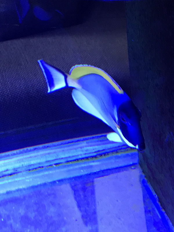 DE4DCD7C-EC88-49B5-87EA-BBAD3627F5DE