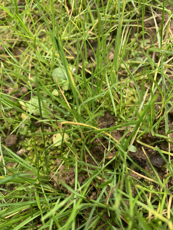 328E84CF-15E9-4B81-852D-1A5658CA526F