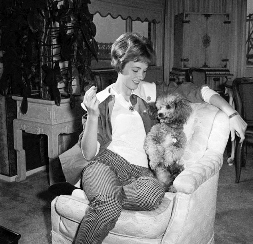 julie_andrews_mc48