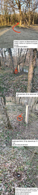 IMG 20260320 100417 229
