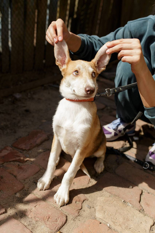 photo_2024-08-26_22-07-11 (2)