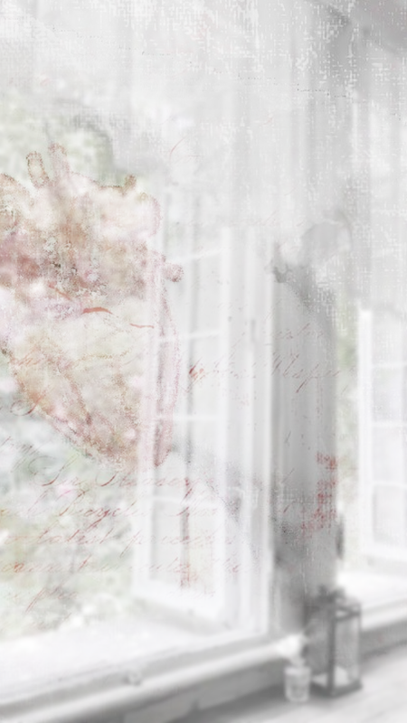 Tumblr l 1239135156927356