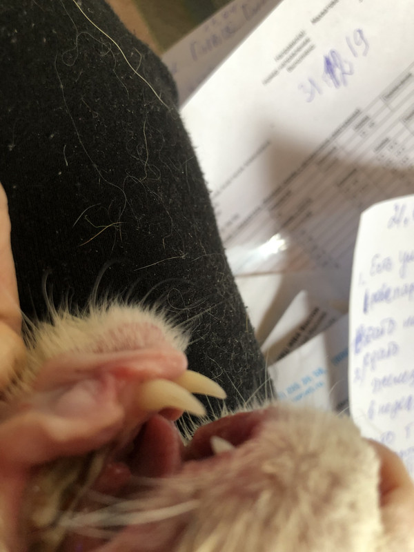 8F80A4B3-54C4-4D27-BB01-BB247E5DDF58