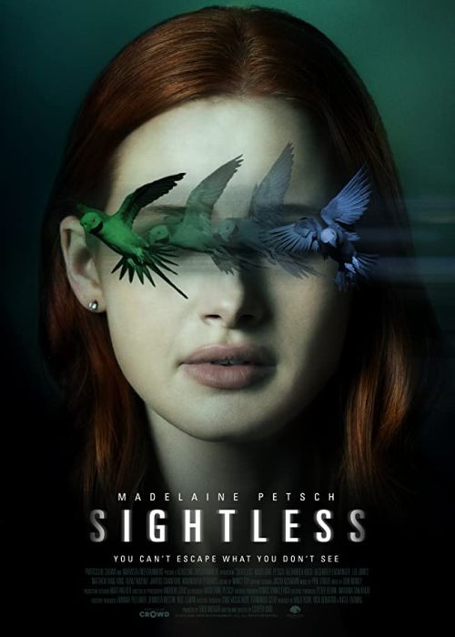 Po omacku / Sightless (2020)  PL.1080p.NF.WEB-DL.X264-J / Polski Lektor