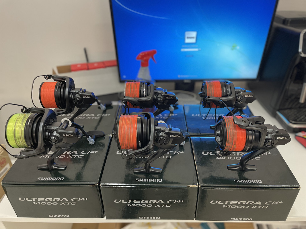 D16D4306-A6F8-4E2B-BCC5-72483BD839C8