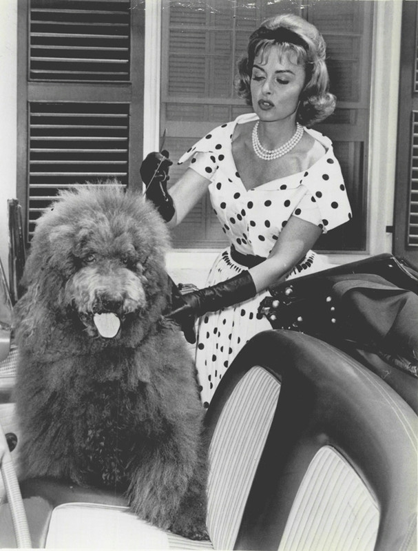 donna_reed_a97