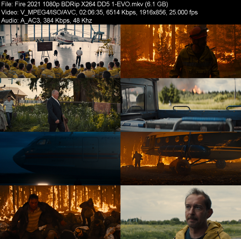fire-2021-1080p-bdrip-x264-dd5-1-evo.png