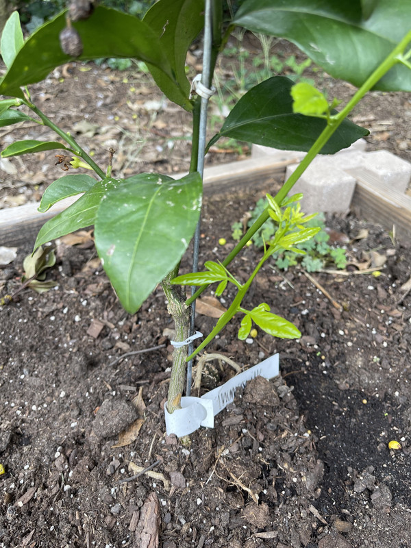 D89EFDFB-9302-426F-B509-564B909D7D13