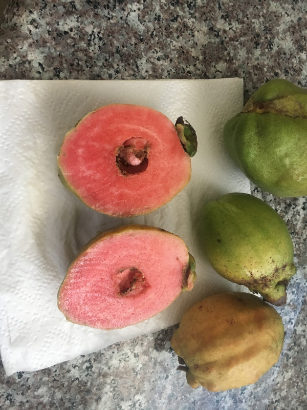 A7802D9A-E1FB-44B0-BFE3-6E5BFF05092D