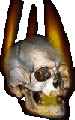 fireskull