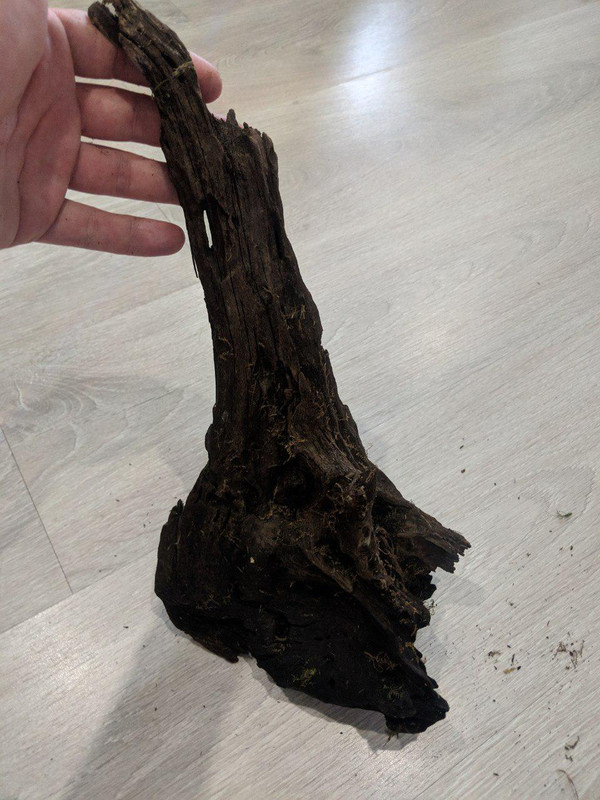 photo_2019-04-30_12-45-17 (3)