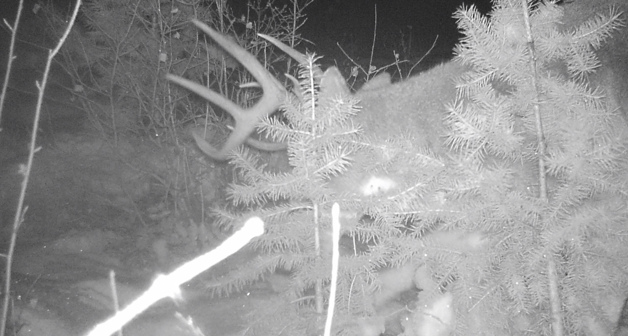 C803555E-FA1A-4E73-824C-E42F055350F1