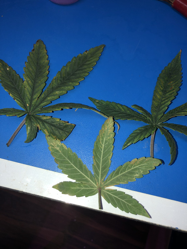 19E45259-3DF2-475C-828D-3FDFD8D0ABB8