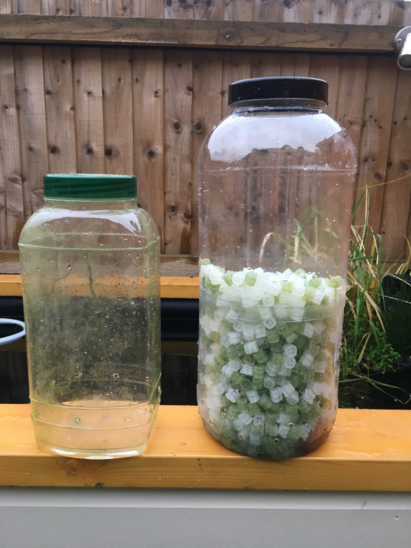 9DCA5B67-6953-4E65-80B9-D805495C17A7