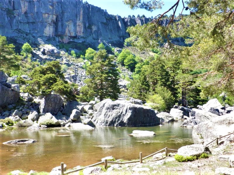 Soria y sus pueblos-2010/2013/2020 - Blogs de España - LAGUNA NEGRA DE URBION-23-6-2010 (9)