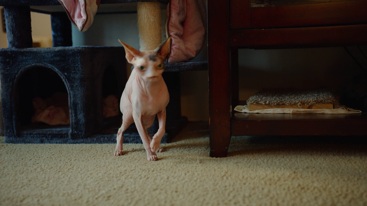 vlcsnap 2026 03 23 11h10m24s542