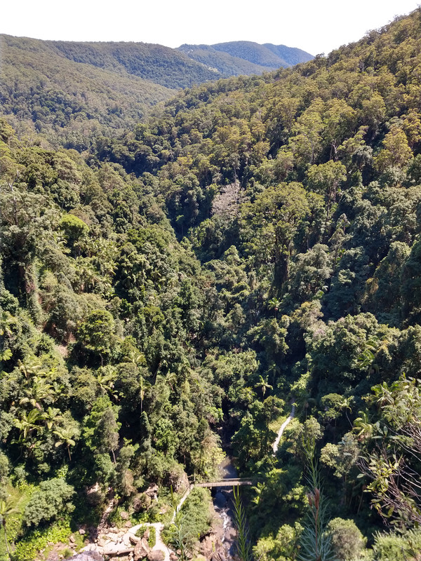 AUSTRALIA , "QUE GRAN PAIS" - Blogs de Australia - SPRINGBROOK NATIONAL PARK (2)