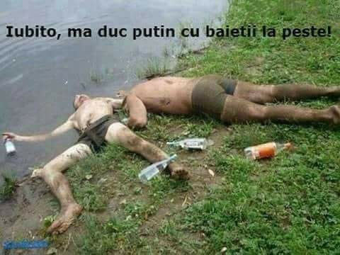 1B81E0FC-6402-491F-9A6D-9944FD6C4CD8