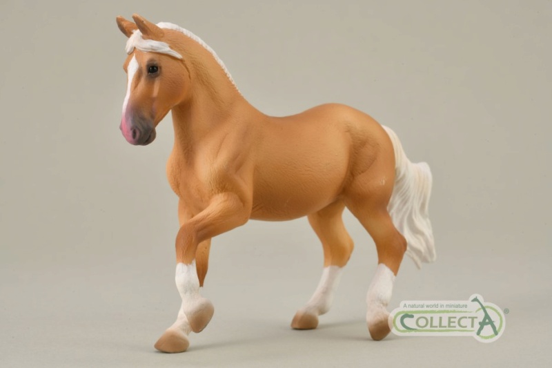 1 - 2021 Horse Figure of the Year, CollectA Mongolian! C-paso-fino