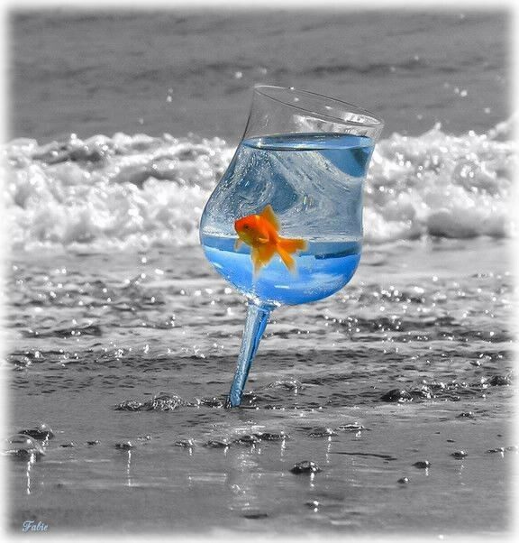 blue-glass-goldfish-new.jpg