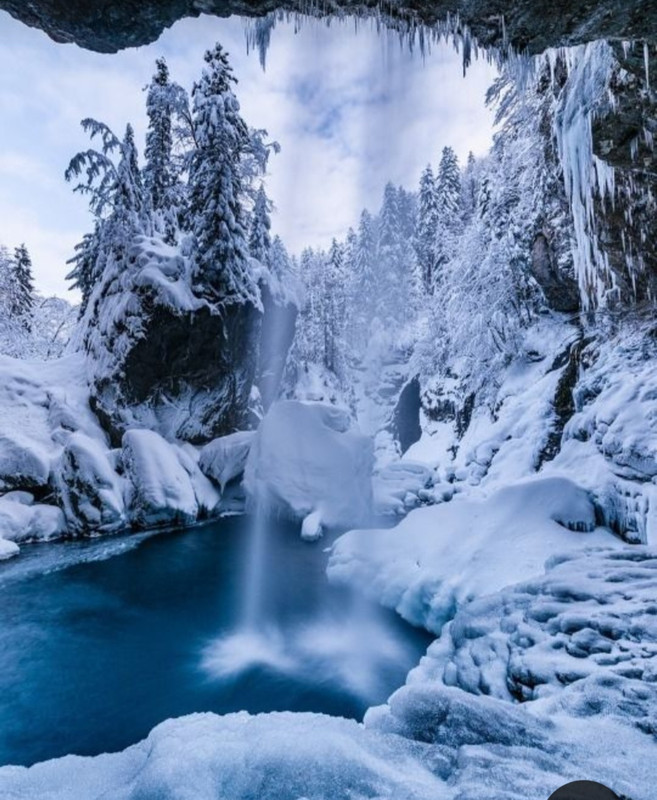 Screenshot_20230327_232815_Pinterest