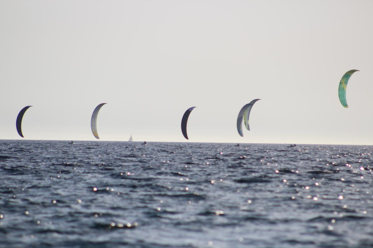 6EA669F5-53BC-4086-957E-0E02D13665A6