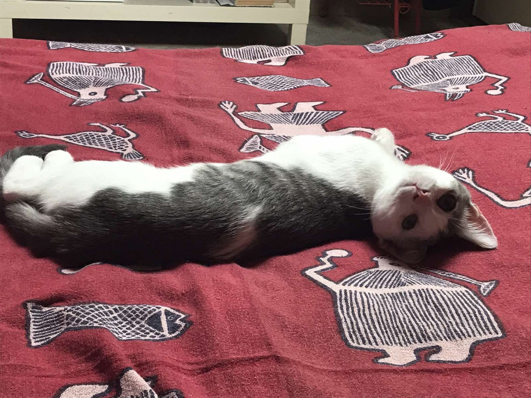 AAA9C421-F5AC-40D8-950F-D41F0A53B110