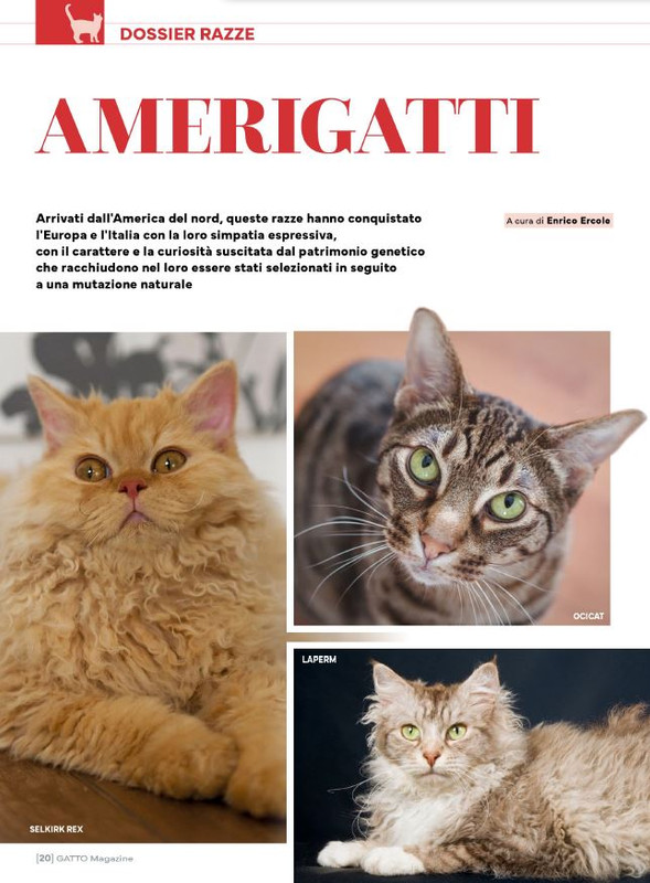 Ga Ma Feb-Mar 2024 (1)