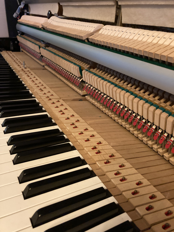 F791F339-5F38-475D-9BE0-0D3EDAD2F083