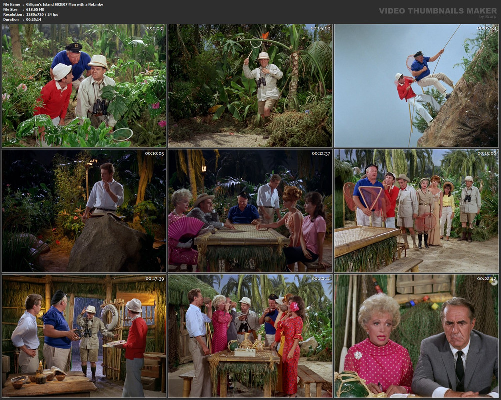 Gilligan's Island S03E07 Man with a Net.mkv