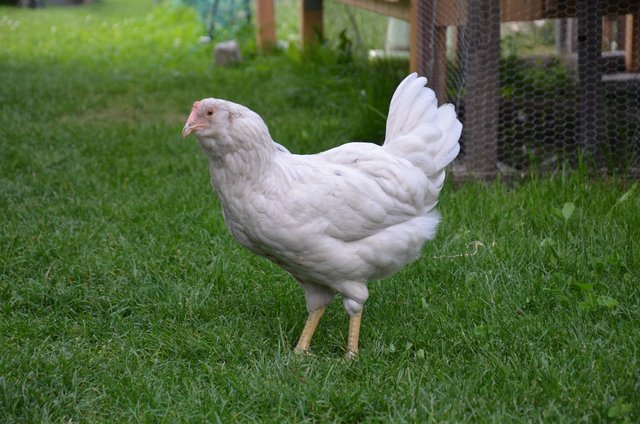 9651161A-28F1-4ABF-B7E9-BC5B9CA564B5