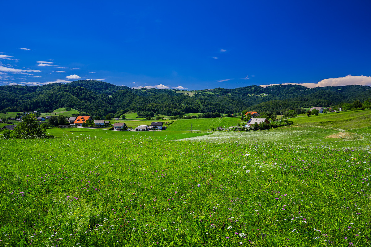 45859011724-595d79c848-k.jpg