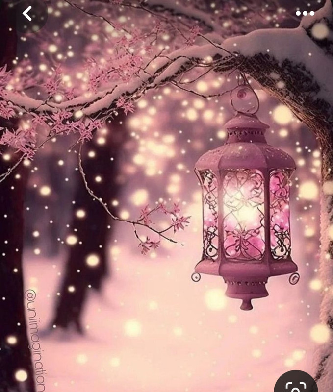 Screenshot_20231225_210509_Pinterest