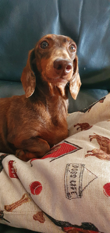 [Image: 20221004-155703.jpg]