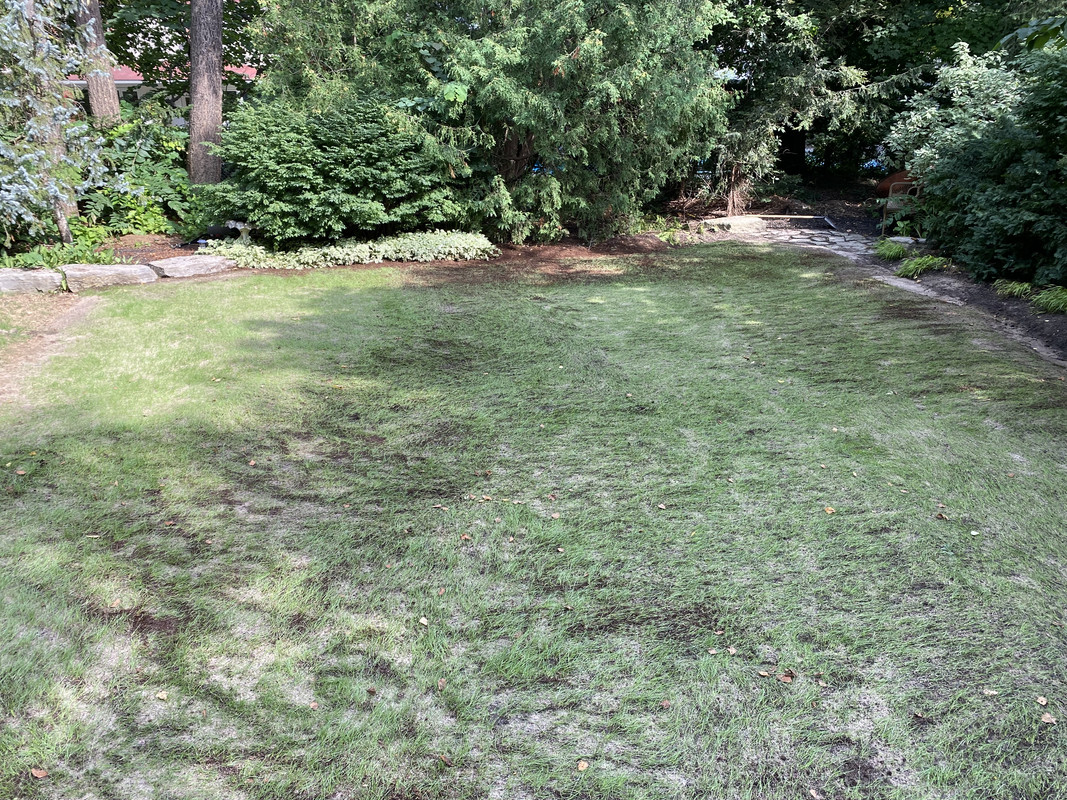 EAB7C1E4-DF02-4D05-90B2-D093168E1491