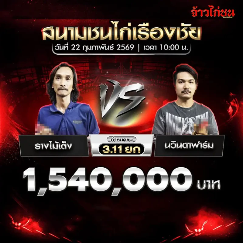 คู่ที่ 3 รางไม้เต็ง พบ นวินดาฟาร์ม ชิงเงิน 1,540,000 บาท กำหนดชน 3.11 ยก สนามชนไก่เรืองชัย 22 กุมภาพันธ์ 2569