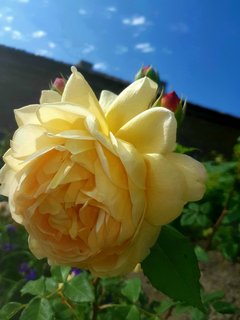IMG_0380