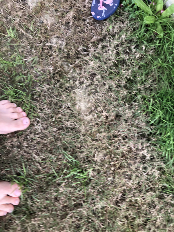 861976E1-402A-4166-8838-04598792ACEE