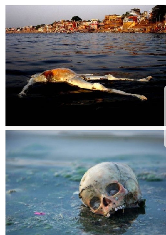 Screenshot 20200213 203213 Chrome 01