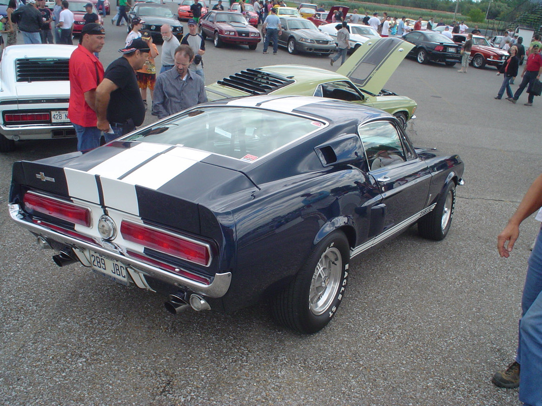 Montréal Mustang: 40 ans et + d’activités! (Photos-Vidéos,etc...) - Page 20 Shelby-GT350-1967-Sanair-2006-FF