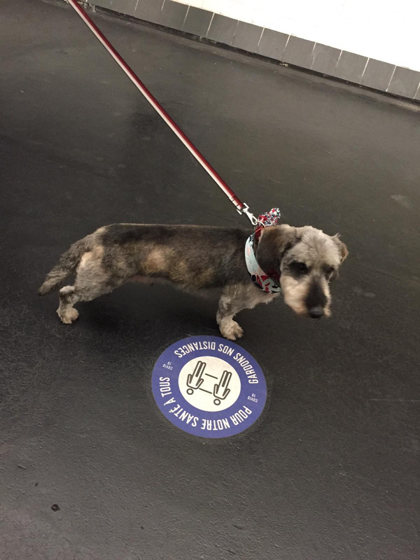 [Image: IMG-20210508-WA0010.jpg]