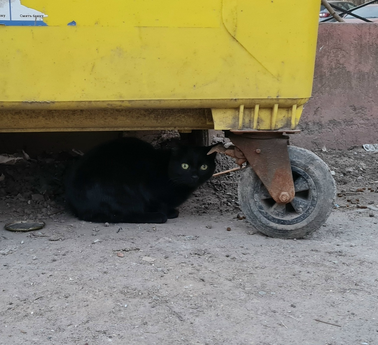 UIWKoh St8O1d GU43 96Qx I61KZXp3r BCBDBMG6CHP2Gb Va1q DUf e QGgn Sg6h Dj QIZ8Dy6tv Zaj5MPspj Zg5mx