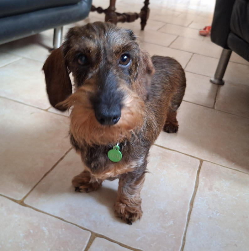 [Image: 20240428-172159.jpg]